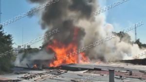 Temporada de verano increment&oacute; incendios en 500 por ciento; Esperan baja en oto&ntilde;o