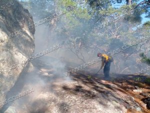 Protecci&oacute;n Civil Tamaulipas y CONAFOR extinguen incendio forestal en San Carlos