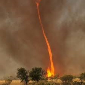 Remolinos de fuego: fenómeno que se presentó en incendios de Veracruz