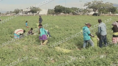Siguen casos de maltrato infantil en Nuevo Laredo; DIF