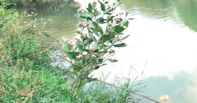 Llenan ríos y lagunas de aguas negras