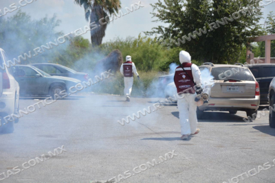 FUMIGA GOBIERNO MUNICIPAL PARA PREVENIR EL DENGUE