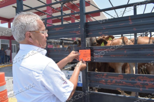 Fortalece Tamaulipas puntos de vigilancia a favor del estatus sanitario