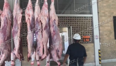 Baja sacrificio en Rastro municipal por gastos de &uacute;tiles escolares