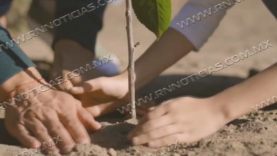 &nbsp;Sembrar&aacute;n m&aacute;s de 3 mil &aacute;rboles en Nuevo Laredo