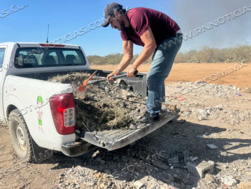 Gestión Ambiental Ha Aplicado 20 Multas Por Faltas Ambientales En Nuevo Laredo A Inicio De Año
