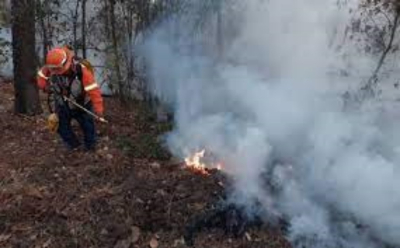 Incendio en la Sierra de Hidalgo ya ha consumido 187 hect&aacute;reas
