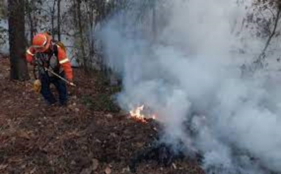 Incendio en la Sierra de Hidalgo ya ha consumido 187 hectáreas