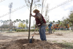 REFORESTA GOBIERNO MUNICIPAL PARQUES Y PLAZAS CON MIL 100 &Aacute;RBOLES