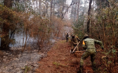 Van 300 hect&aacute;reas afectadas en la Bi&oacute;sfera de "El Cielo": Sedena