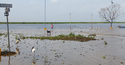 Laguna de Champayán a 2.10 metros, inunda muelle y amenaza negocios