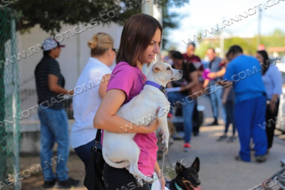 INICI&Oacute; CUARTA CAMPA&Ntilde;A GRATUITA DE ESTERILIZACI&Oacute;N CANINA Y FELINA