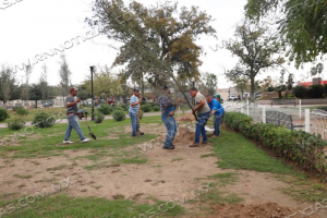 INICIA CAMPA&Ntilde;A DE REFORESTACI&Oacute;N EN PLAZAS Y PARQUES MUNICIPALES