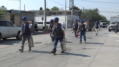 VIDEO M&aacute;s de 115 colonias de alto riesgo para proliferaci&oacute;n del dengue en Nuevo Laredo