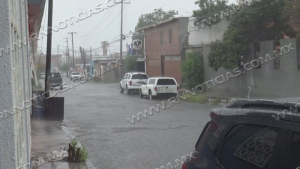 Piden autoridades cuidar medio ambiente ante efectos del cambio clim&aacute;tico