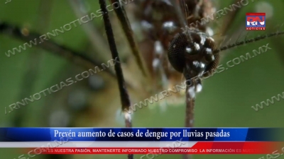 video Prev&eacute;n aumento de casos de dengue por lluvias pasadas