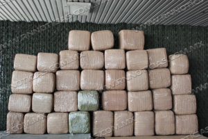 CBP incautan más de $ 1 millón de dólares en marihuana en el Puente del Comercio Mundial