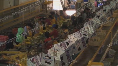 Piden autoridades anular ley antimigrante de Texas SB4