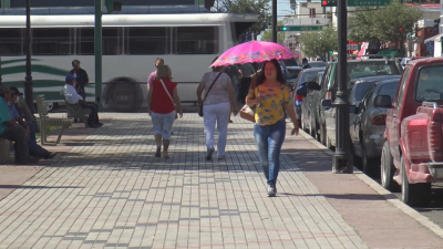 VIDEO Entrada primavera traer&aacute; aumento en enfermedades al&eacute;rgicas y respiratorias