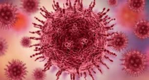 Descubren bacteria resistente a todos los medicamentos en la EEI