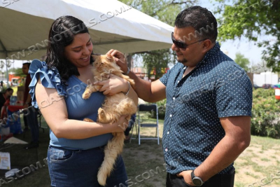 BRINDA GOBIERNO MUNICIPAL HOGAR A MASCOTAS RESCATADAS CON FERIA DE ADOPCI&Oacute;N