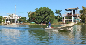 Reportan cocodrilos de 4 metros en el río Tamesí