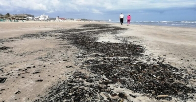 Proponen que ONU investigue presencia de chapopote en Playa Miramar