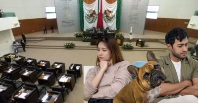 Aprueban reformas para proteger a mascotas en divorcios en Tamaulipas