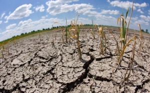 Científicos alertan que cambio climático ya podría ser irreversible