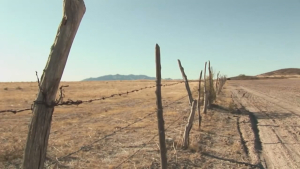 Sequía mantiene a Ganaderos de Nuevo Laredo preocupados