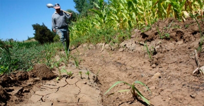Agricultores temen daños en sus parcelas por fumigaciones aéreas