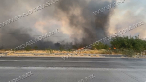 Cinco incendios de zacatal movilizan a Bomberos y Protección Civil en Nuevo Laredo; no hubo lesionados