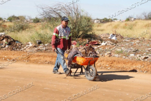 APLICAN MULTAS DE HASTA 9 MIL PESOS POR CONTAMINAR Y MALTRATAR ANIMALES