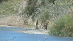 Baj&oacute; migraci&oacute;n de mexicanos 50 por ciento por puerto de Laredo Texas