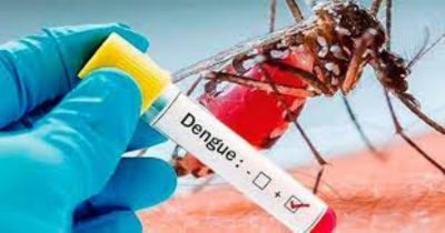 Registra Tamaulipas 114 casos de dengue