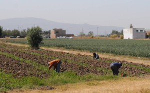 Productores se reportan en crisis y endeudados