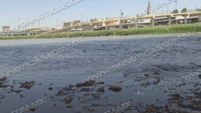 Agua del r&iacute;o Bravo apta para el consumo humano; Peces no