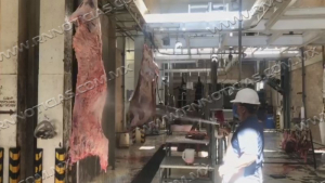 Baja 50 por ciento sacrificios en Rastro municipal de Nuevo Laredo