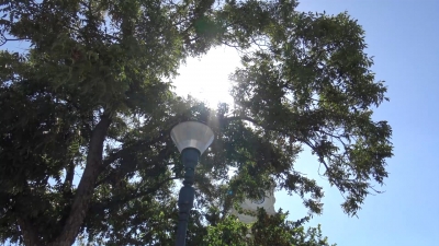 VIDEO Alertan autoridades por oleada de calor