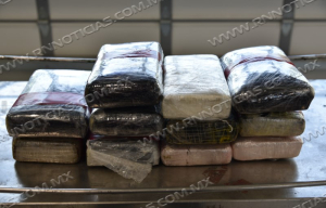Oficiales de CBP incautan m&aacute;s de $1 mill&oacute;n en coca&iacute;na en el Puerto de Entrada de Laredo