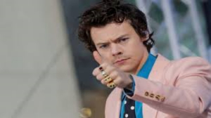 Acosadora de Harry Styles es sentenciada a prisi&oacute;n