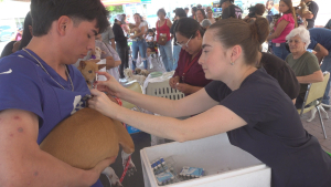 Vacunan contra la rabia y desparasitan perros y gatos ante ola de calor