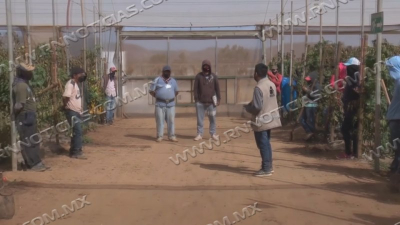 Falta de econom&iacute;a principal factor de la educaci&oacute;n primaria y secundaria; ITEA