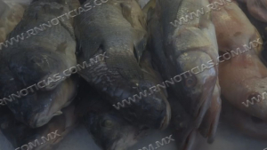 Coepris reporta saldo blanco en Operativo Cuaresma