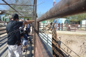 VISITANTES LOCALES Y TURISTAS DISFRUTAN DEL ZOOL&Oacute;GICO DE NUEVO LAREDO
