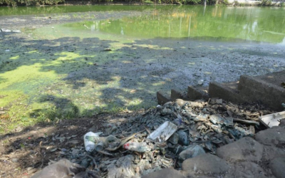Ignora Profepa contaminación del Río Conchos